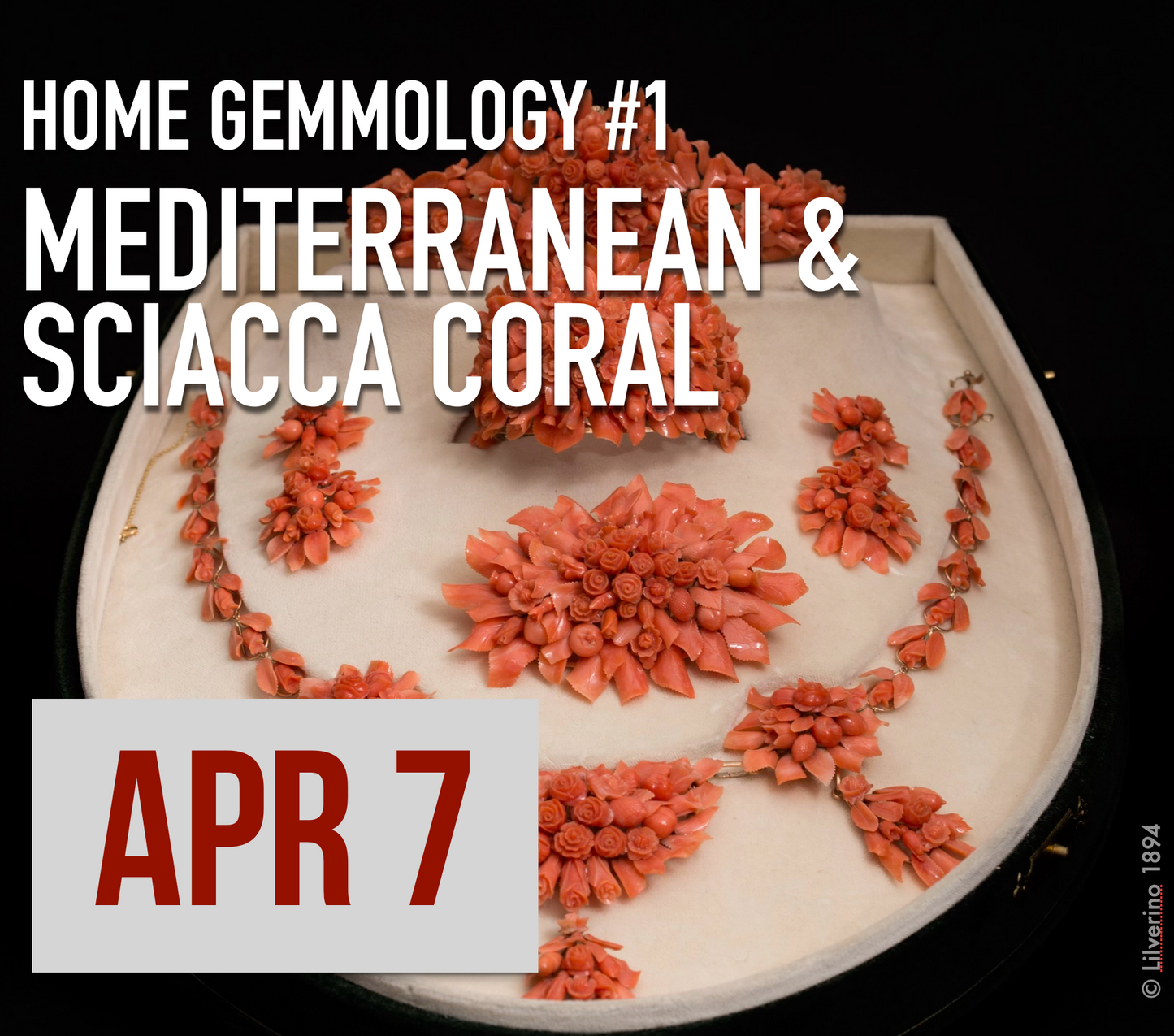 MEDITERRANEAN AND SCIACCA CORAL