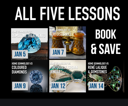 ALL FIVE LESSONS (Winter 2026 Program)
