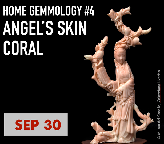 Angel's Skin Coral